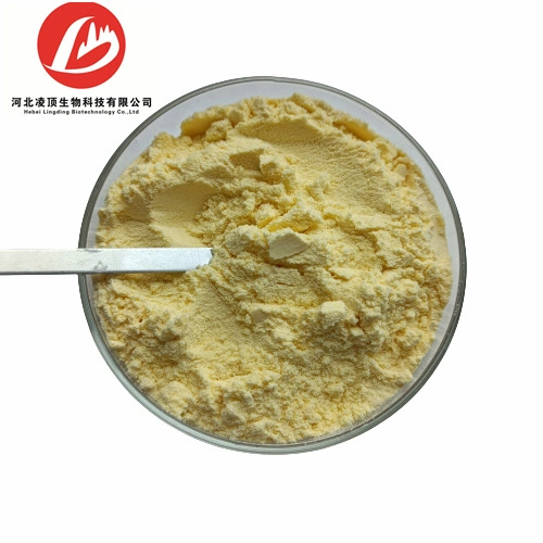 Natural Mango Fruit/Leaf Extract Mangiferin Powder 98% CAS 4773-96-0