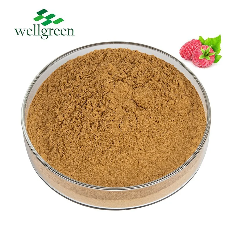 Factory Price Palmleaf Raspberry Fruit Extract 100% Pure Red Raspberry Extract Powder