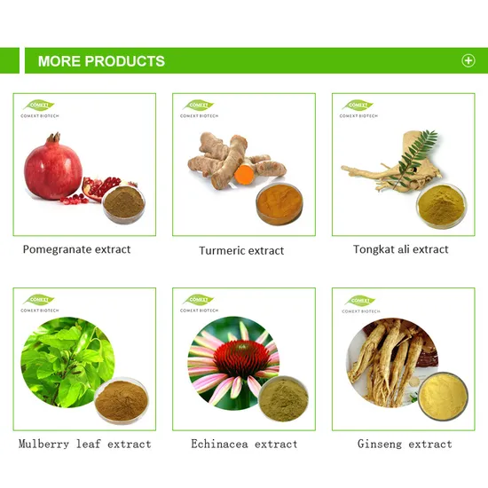 Fabricant en gros de poudre de mangue